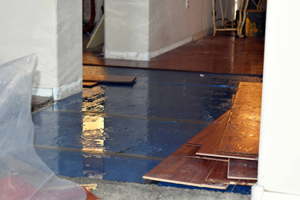 Professional Emergency Water Damage Restoration technician working in Mallory, WV